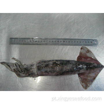 Frozen North Pacific Squid inteiro redondo 500-1000g